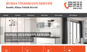 Viessmannservis-bursa.com thumbnail