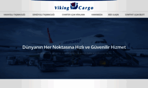 Vikingcargo.com.tr thumbnail