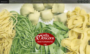 Villamosconi.com thumbnail