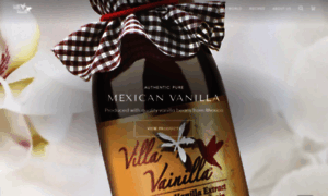 Villavainilla.mx thumbnail