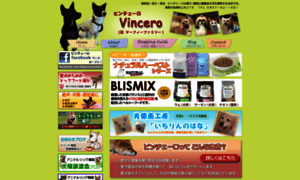 Vincero.jp thumbnail