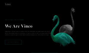 Vineo.site thumbnail