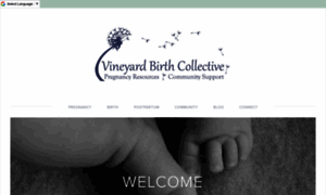 Vineyardbirthcollective.org thumbnail