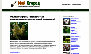 Vinograd-is.ru thumbnail