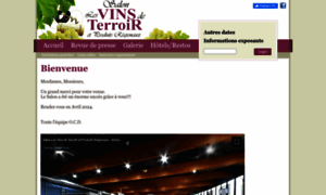 Vins-de-terroir.com thumbnail