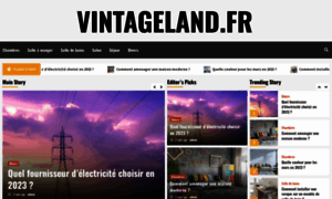 Vintageland.fr thumbnail