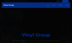 Vinylgroup.in thumbnail