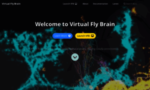 Virtualflybrain.org thumbnail