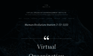 Virtualorganizationinstitute.com thumbnail