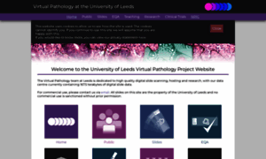 Virtualpathology.leeds.ac.uk thumbnail