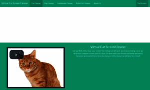 Virtualscreencleaners.com thumbnail