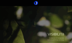 Visibilitii.com thumbnail