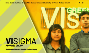 Visigmagroup.com thumbnail