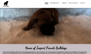 Vision-french-bulldogs.com thumbnail