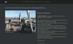 Visites-guidees-lille.fr thumbnail