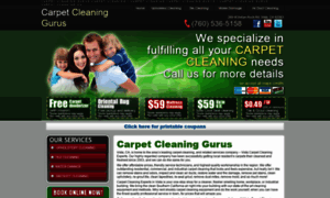 Vistacarpetcleaningexperts.com thumbnail