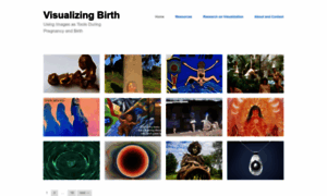 Visualizingbirth.org thumbnail