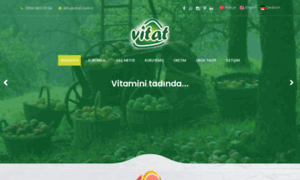 Vitat.com.tr thumbnail