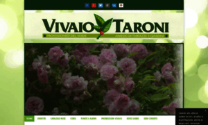 Vivaiotaroni.com thumbnail