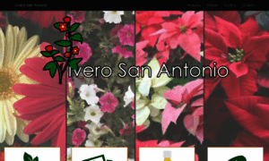 Vivero-san-antonio.com thumbnail