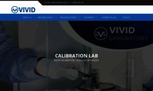 Vividgroup.co.in thumbnail