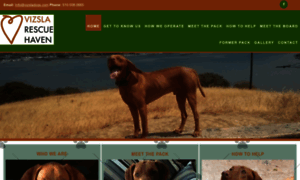 Vizslarescuehaven.org thumbnail