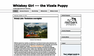 Vizslawhiskeygirl.blogspot.com thumbnail