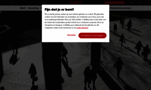 Vn.nl thumbnail