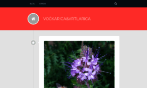 Vockaricavrtlarica.wordpress.com thumbnail