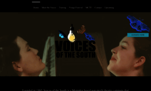 Voicesofthesouth.org thumbnail