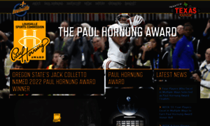 Votepaulhornung.com thumbnail