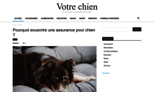 Votre-chien.com thumbnail