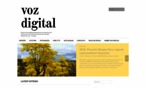 Vozdigitalccs.wordpress.com thumbnail