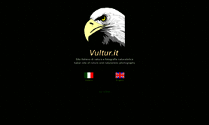 Vultur.it thumbnail