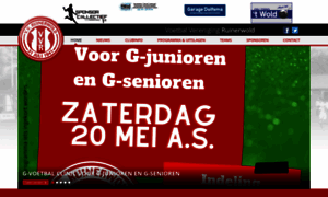 Vvruinerwold.nl thumbnail