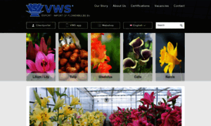 Vws-flowerbulbs.nl thumbnail