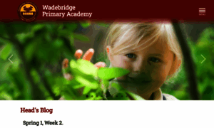 Wadebridgeprimary.co.uk thumbnail