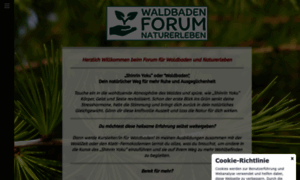 Waldbaden.com thumbnail