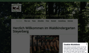 Waldkindergarten-steyerberg.de thumbnail