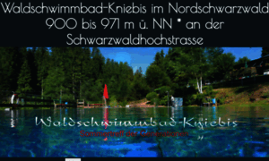 Waldschwimmbad-kniebis.de thumbnail