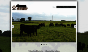 Walkerwoodcattlecompany.com thumbnail