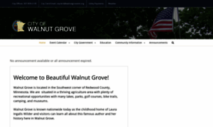 Walnutgrovemn.org thumbnail