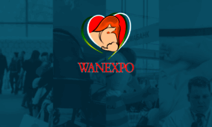Wanexpo.ru thumbnail