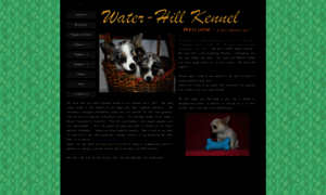 Water-hillchihuahuas.com thumbnail