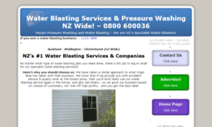 Waterblastingservices.co.nz thumbnail