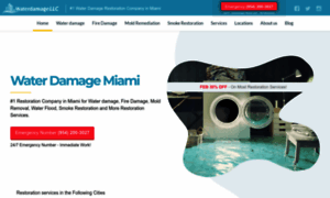 Waterdamagemiami.com thumbnail