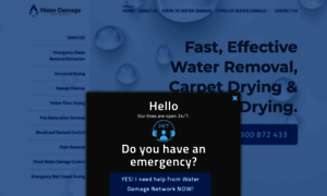 Waterdamagenetwork.com.au thumbnail