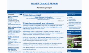 Waterdamagerepairguide.com thumbnail