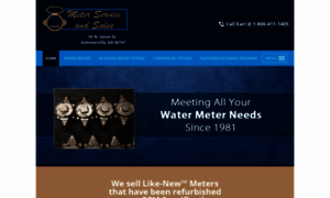 Watermeters5.com thumbnail