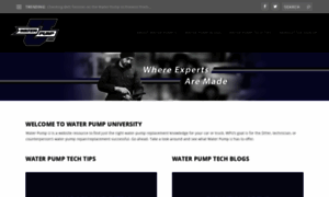 Waterpumpu.com thumbnail